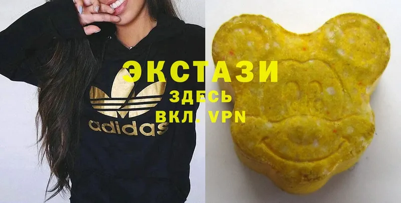 дарнет шоп  Гурьевск  Ecstasy бентли 