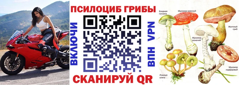 KRAKEN как зайти  Гурьевск  Галлюциногенные грибы мицелий 