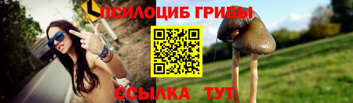 Псилоцибиновые грибы мухоморы  Вход с VPN  Гурьевск  Псилоцибиновые грибы Magic Shrooms 